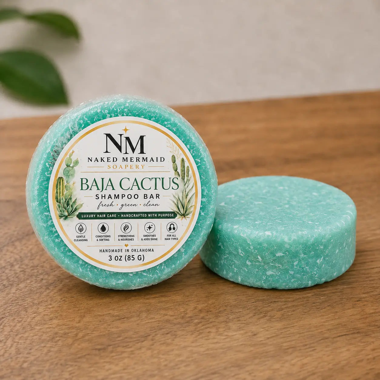 Baja Cactus Solid Shampoo Bar